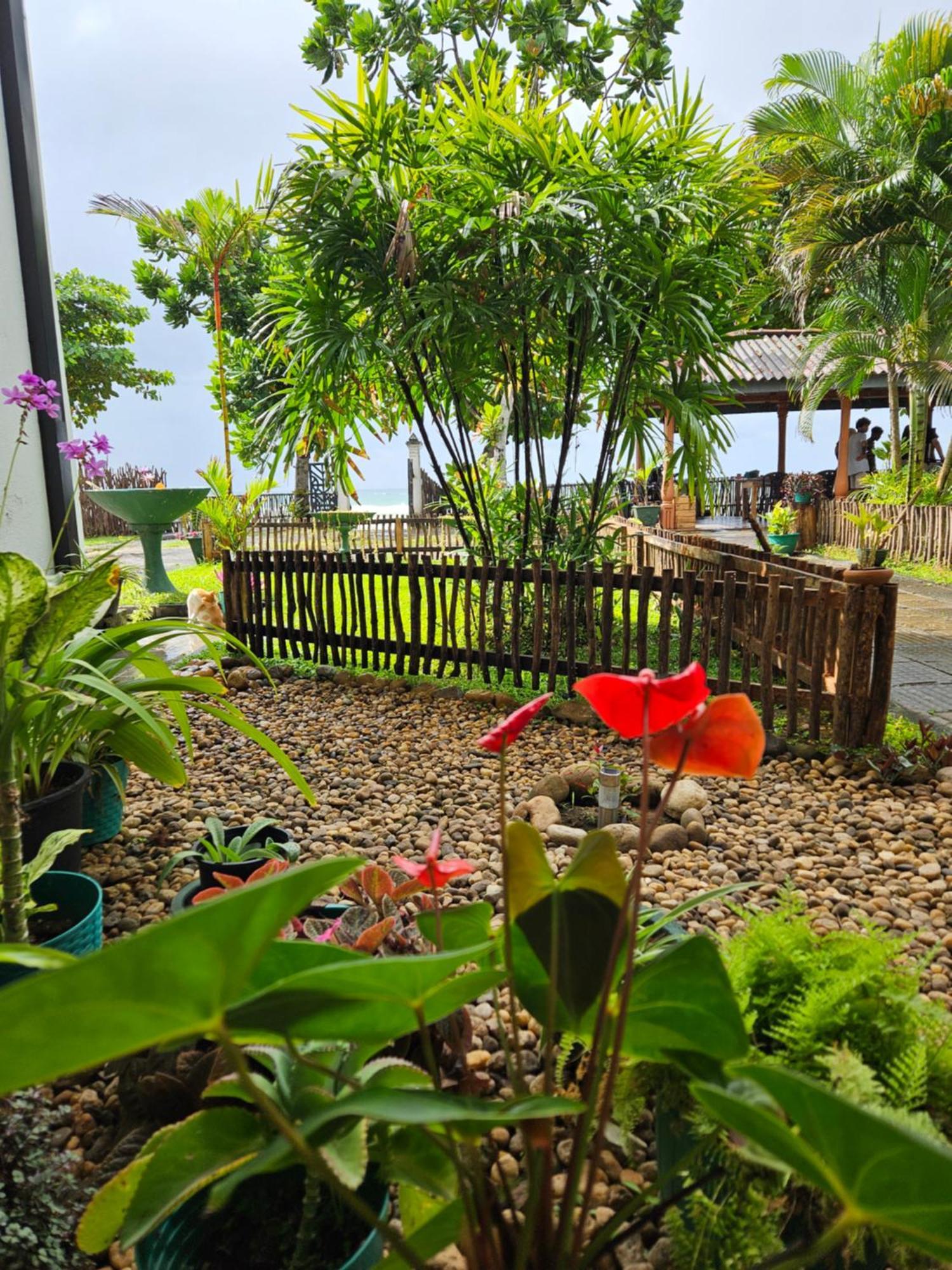 Balance Beach Resort Dikwella Exterior foto