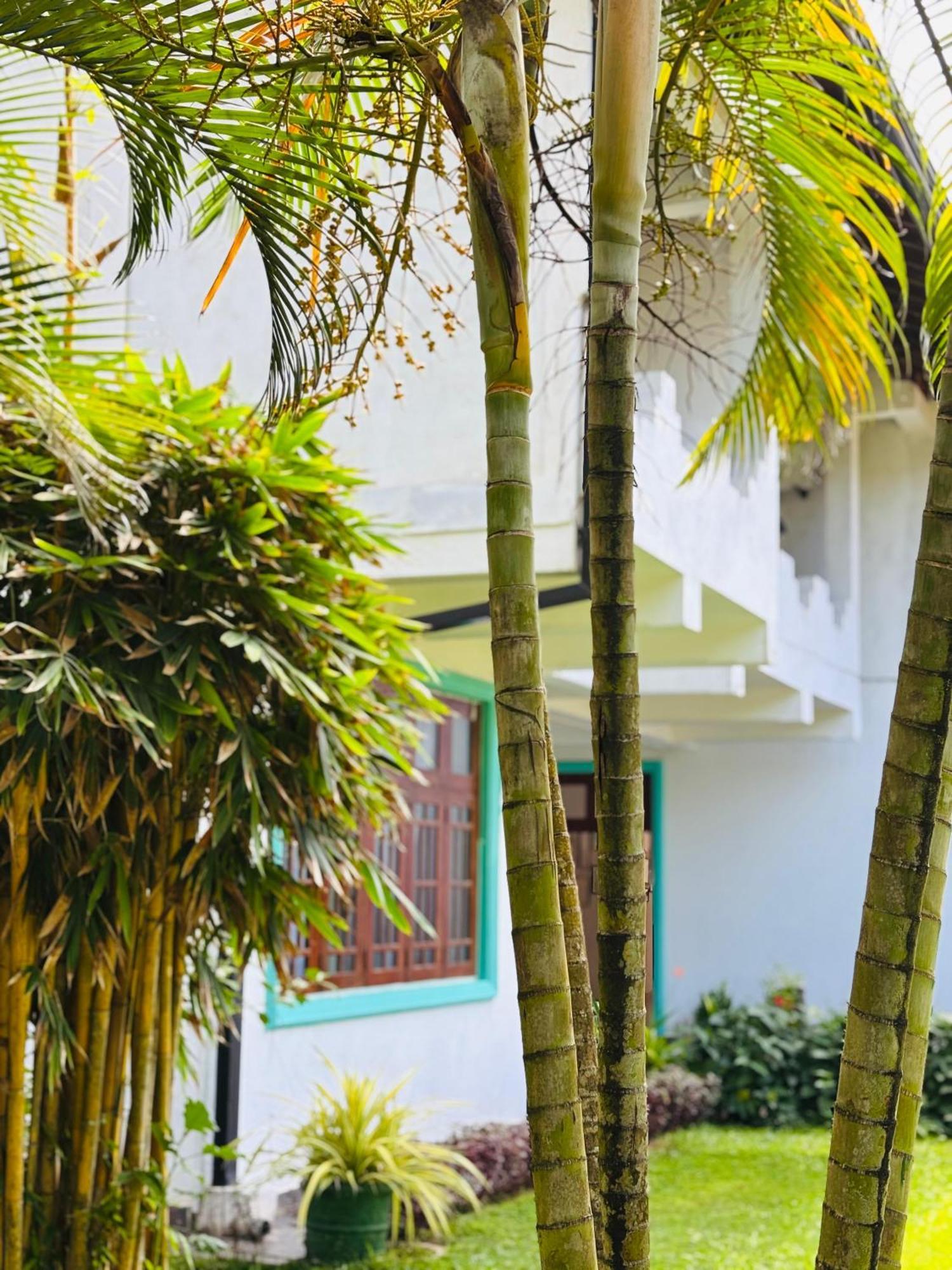 Balance Beach Resort Dikwella Exterior foto