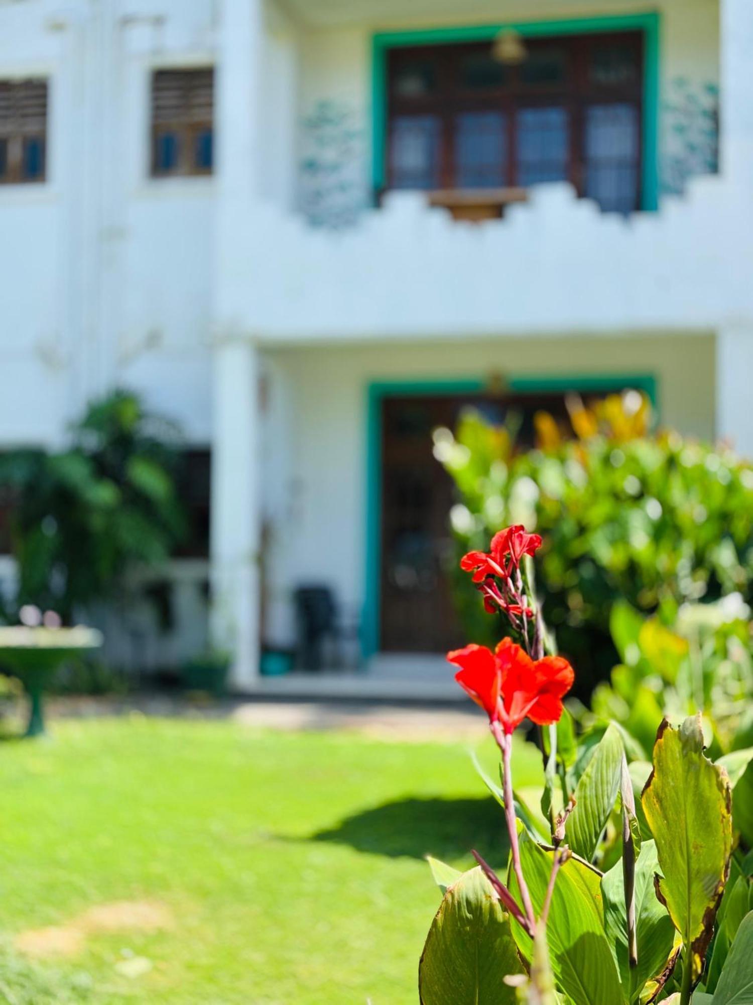 Balance Beach Resort Dikwella Exterior foto